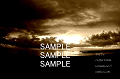 IMG_9121art2_1ts_thumb.png