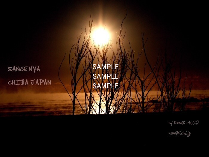 P1021295art_1ts.jpg