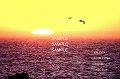 IMG_8541art_1ts_thumb.png