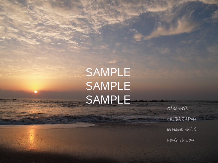 PB093139_1ts.jpg